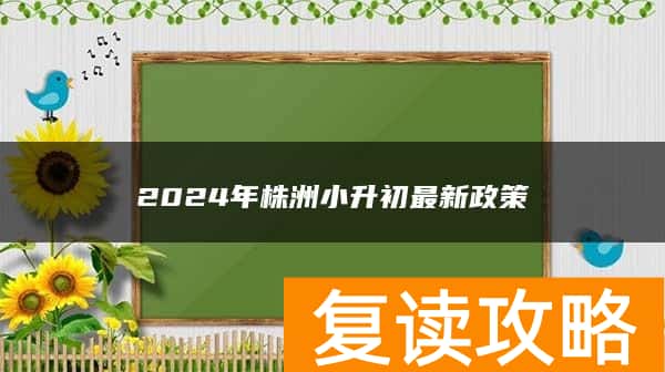 2024年株洲小升初最新政策